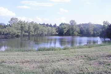 CANOE, SWIM IN ISLAND LAKE STOCKED WITH FISH