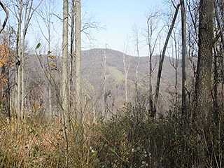 GREAT MOUNTAIN VIEWS FROM HISTORIC CHESTER GAP