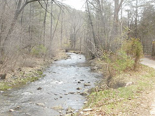 RELAX, ENJOY WEEKEND COOKOUTS BESIDE THE CREEK