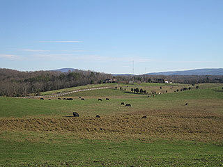 SAFE AND PEACEFUL SETTING JOINING LARGER FARM