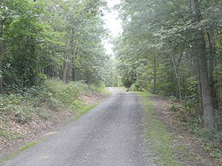 SECLUDED WOODS W/ STREAM & MOUNTAIN VIEWS