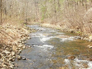 SLEEP TO THE SOUND OF WHISPERING HAWKSBILL CREEK