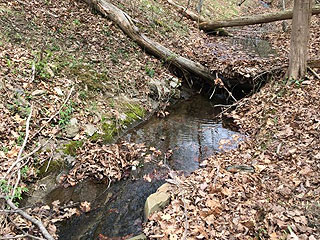 STREAM TO ATTRACT WILDLIFE AND TO DAM UP FOR FISHING