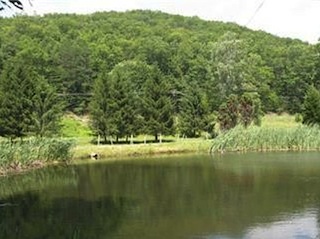 STOCKED POND FOR FISHING, CANOEING, AND SWIMMING