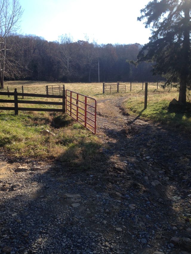 Private road's-end ranch for horses, cows, pets.