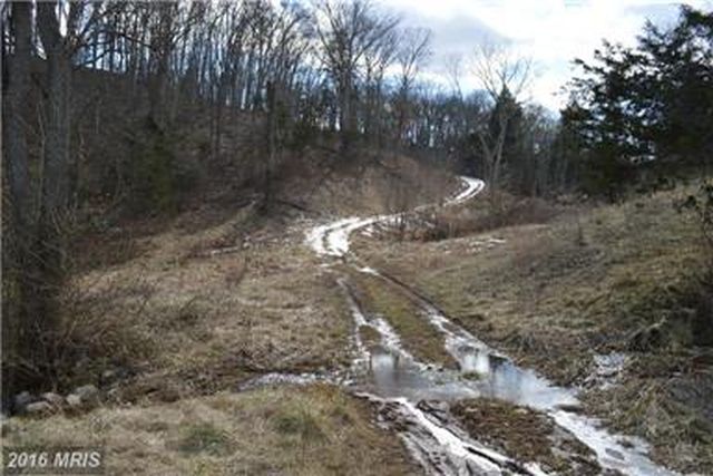 WOODED TRAILS, FOR HORSES, HIKING, HUNTING