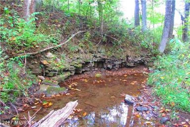 Park-like meadows and woods with whispering stream